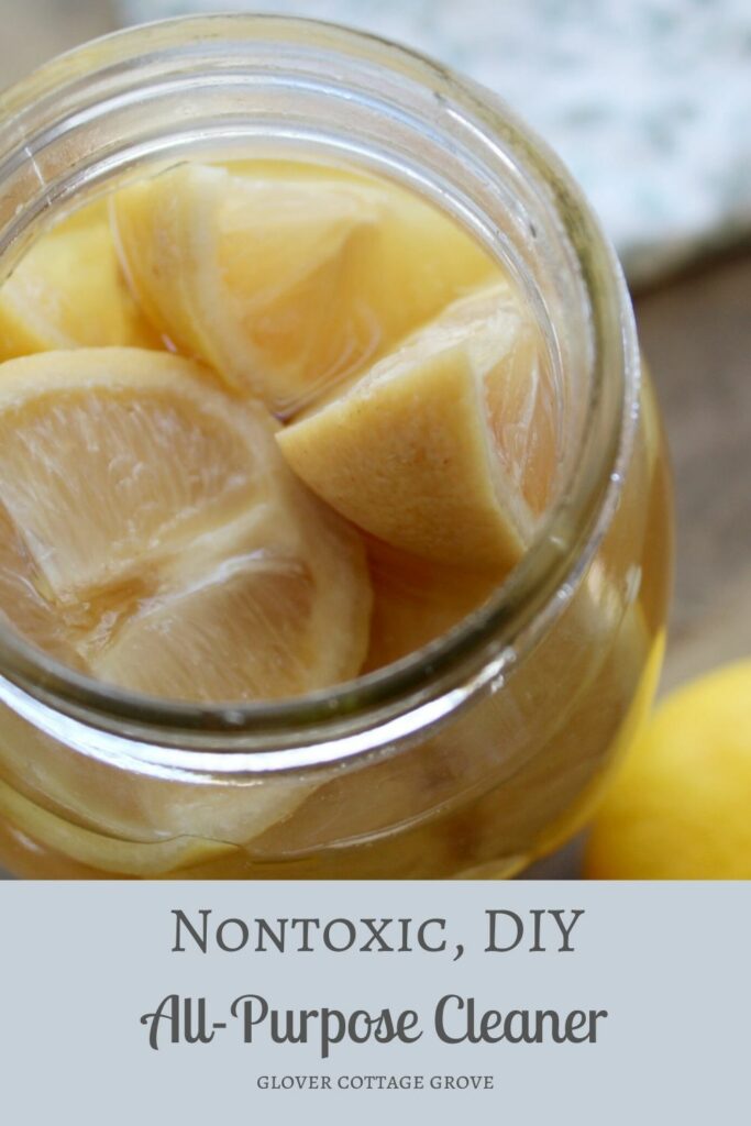 DIY Multipurpose Lemon Vinegar Cleaner