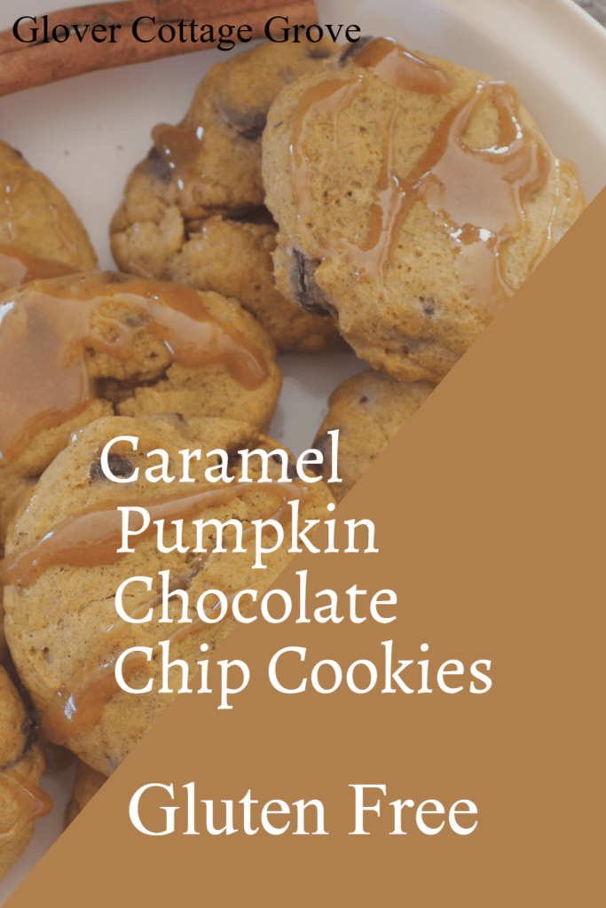 Caramel pumpkin chocolate chip cookies recipe - gluten free baking