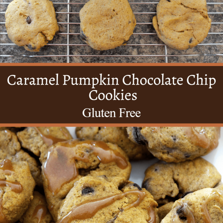 Gluten-free pumpkin chocolate chip cookies from scratch recipe