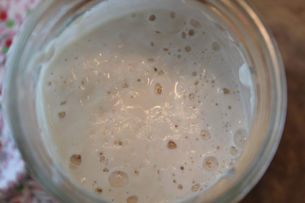 Closeup of an established gluten free sourdough starter