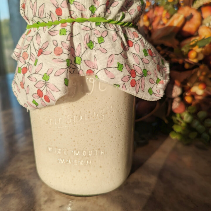 Gluten Free Sourdough Starter Easy Recipe for beginners