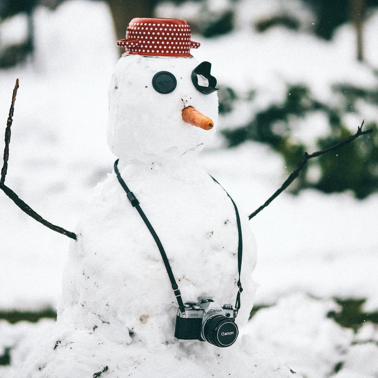 snowman with camera